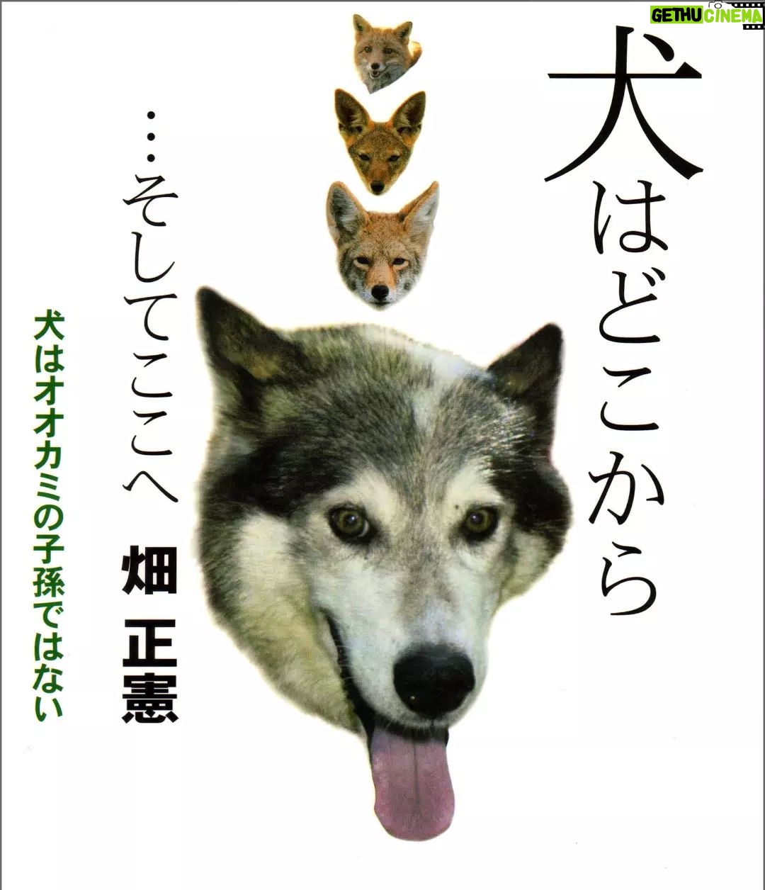 Masanori Hata - 5K Likes - 犬はどこから…そしてここへ
ムツさん著作の電子書籍のお知らせです。
身近でありながら、人との出会いは謎に満ちた犬、という動物を愛し研究し続けたムツさんならではの切り口、見解で書かれた一冊です。
学研、Amazon、楽天、ヨドバシなどの電子書籍サイトよりご購入いただけます🐾
#はたまさのり #むつごろうさん #ムツゴロウ #電子書籍 #犬はどこから #zoologist #doglover