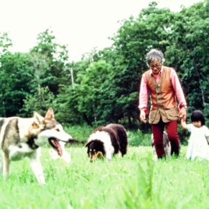 Masanori Hata Instagram - ムツさんお散歩シリーズ🐾オオカミ犬ローラとコリーのモティ。そしてちっちゃな女の子はムツさん孫の風花です。２枚目、メガネとっちゃったー😆って笑い声が聞こえてきそうですね😃手前のウエスティは豆太郎です🎵 男の人きらいだったローラもだいぶ慣れていっしょにお散歩できるようになった初夏の風景🍀 #ムツゴロウの656 #はたまさのり #むつごろうさん  #zoologist #writer #wolfdog #friendofanimals