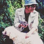 Masanori Hata