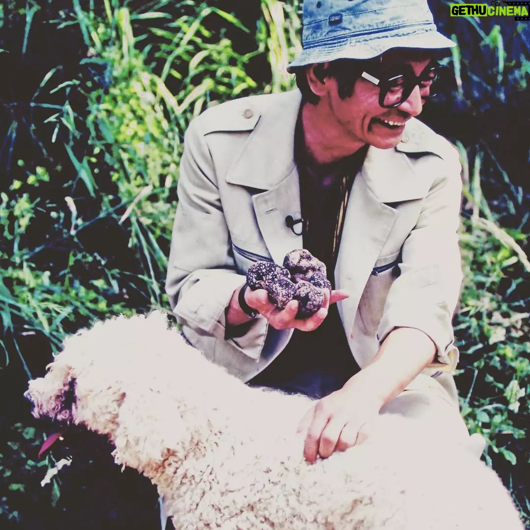 Masanori Hata - 4.5K Likes - イタリアで出会ったトリュフ犬のラゴット🐾すぐれた嗅覚を持つ犬種ということで、この日も立派なトリュフを発見してくれました。そのあとご馳走になったトリュフオムレツは絶品だったそうです😆クルクルの毛に覆われたラゴット、かわいいですよね💕#ムツゴロウの656 #はたまさのり #むつごろうさん #zoologist #writer #friendofanimals #italy