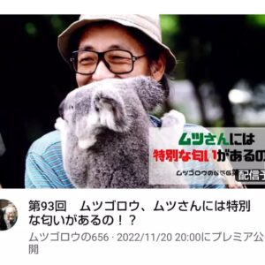 Masanori Hata Instagram - 第９３回 ムツゴロウ
ムツさんには特別な匂いがあるの！？
2022/11/20 20時公開
アンカレッジの動物園でオオカミの檻にいれてもらったムツさん。それだけでなく生まれていた6匹の赤ちゃんにも対面し、触らせてもらう、という体験をしました。母オオカミもムツさんをみとめ、子供を見ることを許してくれたそうです🐺
ムツさんにはなにか動物たちと仲良くなる匂い？みたいなものがあるのー？というはなしになっていきます。お楽しみに🎵
#ムツゴロウの656 #はたまさのり #むつごろうさん #zoologist #writer #friendofanimals #wolf