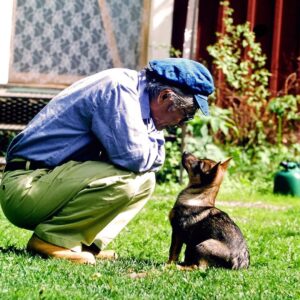 Masanori Hata Instagram - スウェーデンで出会ったヴァルフント🐾古くから農家を助けて牛追いを手伝っている犬種だそうです。ムツさんとコミニュケーションをとっている仔を見てもちゃんと人の言うことを聞こうとしている姿勢がつたわってきます。賢いんですね！世界で出会った犬友だちシリーズです😆🌎️ #ムツゴロウの656 #はたまさのり #むつごろうさん #zoologist #writer #friendofanimals  #sweden