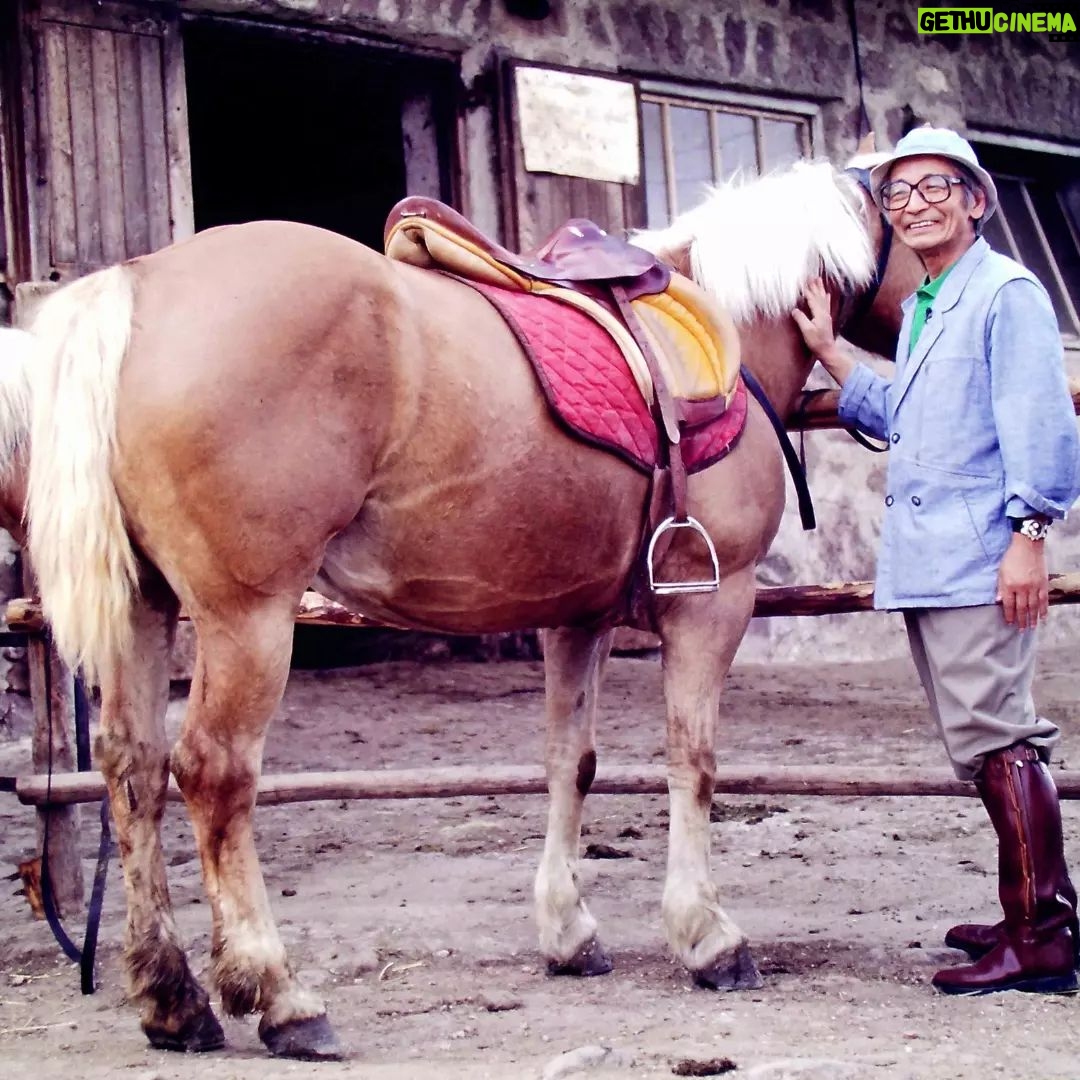 Masanori Hata - 5K Likes - イタリア北部でであったハーフリンガー系の馬たち。暮らしとともに馬の文化がしっかり息づいていました。小さな馬友だちと乗っているムツさん、てい鉄を眺めるムツさん、嬉しそうです🎵#ムツゴロウの656 #はたまさのり #むつごろうさん #zoologist #writer #horsemanship