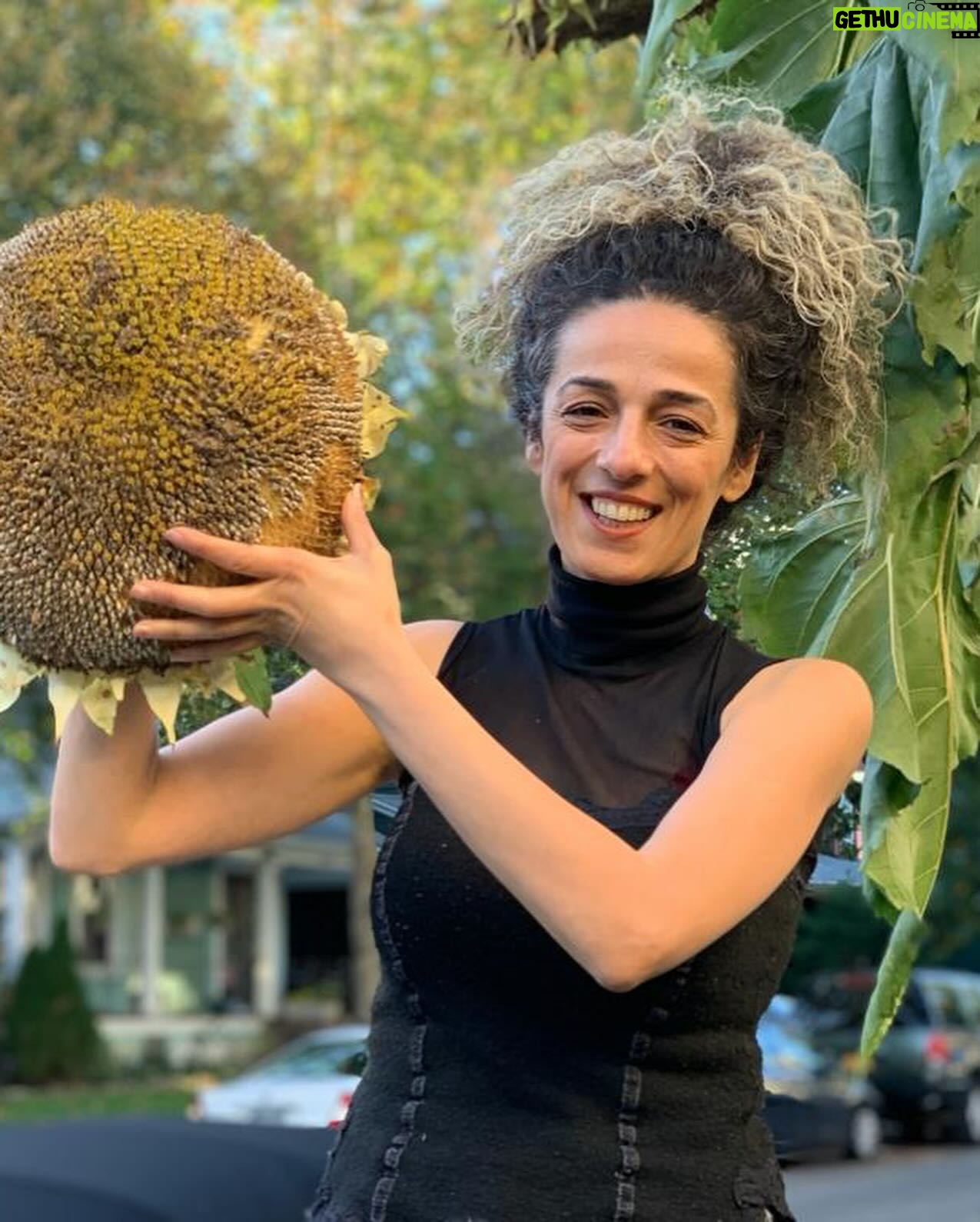 Masih Alinejad - 101.2K Likes - .
امسال بدون گلهای آفتابگردان، تنهاترم…. دوباره باغچهای خواهم ساخت پر از بوی نعنا و ریحان، پر از آفتابگردان، پر از مادرم…
روستایی که باشی میدانی که ما بدون دار و درخت و گل و گیاه و صدای باد و رودخانه، انگار خانهگم کردهگانیم….
اینجا خانهام در نیویورک بود که دیگر از آن دور شدهایم…..
