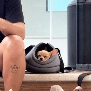 Matheus Crivella Instagram - Foi aniversário da minha princesa, podem dando os parabéns pra ela! 🤣😍🐶
#FionaFaz1Ano