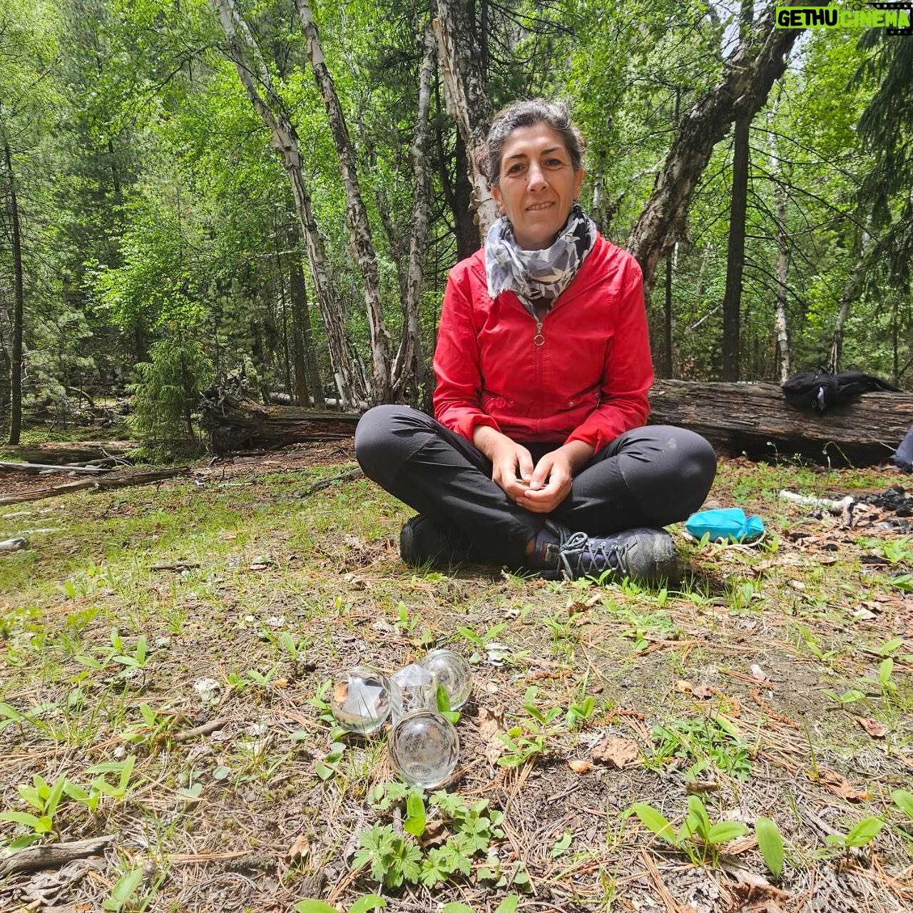 Matías De Stefano - 2.3K Likes - CACHEMIRA, Nodo en Pakistan.
Gracias a los dos Caminantes por la tarea que realizarán durante este Solsticio entregando los cristales a este Nodo del Dodecaedro.
Ozlem Bir de Turquía 🇹🇷 @ozlembir1
Julián Mosquera Linares de Emiratos Árabes 🇦🇪 @julian.dml_uae
♦️♦️♦️
La región del Nodo Icosaedrico abarca un gran territorio, pero fluctúa entre los Himalayas de la India, China y Pakistán.
Esta región del Himalayas es un centro de poder donde se cruzan las montañas del norte y sur con las cadenas que van hacia Irán, convirtiendo este punto en el ingreso del poder de Tibet.
Très esferas con la Red impresa y un prisma con el ADN, serán activados y sembrados como semillas de la consciencia en este lugar.
Aquí se ancla la información de lo Celestial. Pongamos pues, la intención de abrir las puertas entre el Cielo y la Tierra para extender un puente de comunicación más clara y de unidad en un territorio que se encuentra hoy en división y fragmentación.
Este día 20, visualizamos a los tres caminantes y los sostenemos en meditación, o creando un altar, aportando nuestra energía y consciencia para el mayor bien de este mundo. (no importa el horario ni sitio donde estés)
GRACIAS POR SEMBRAR LA RED DE CONSCIENCIA