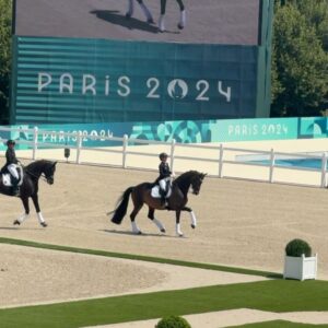 Matt Harnacke Instagram - My very first time attending an Olympics… the atmosphere was like nothing I have ever felt before. At a time where things have been so fragile for us all, yesterday dressage shined and showcased some incredible combinations, incredible talent and high emotions. I can’t thank horses enough for what they have brought to my life and the places and people they connect me to ❤️🐴 these are memories I will revisit often.