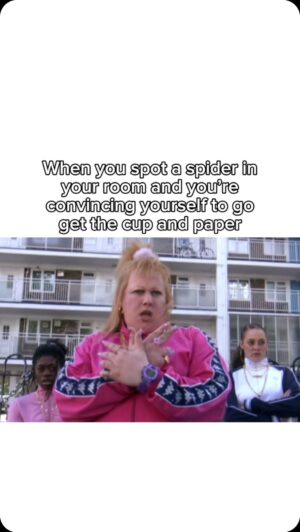Matt Lucas Instagram - This is well hectic 😡😬🕷️

#littlebritain #meme #britishhumour
