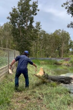 Matt Wright Instagram - Checking out the big fellas this weekend and getting operations ready to launch @topendsafaricamp in March