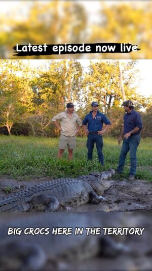 Matt Wright Instagram - Who’s got this trip on there bucket list ?? The wild Northern Territory 🐊 
#croc #northernterritory #theexplorelife