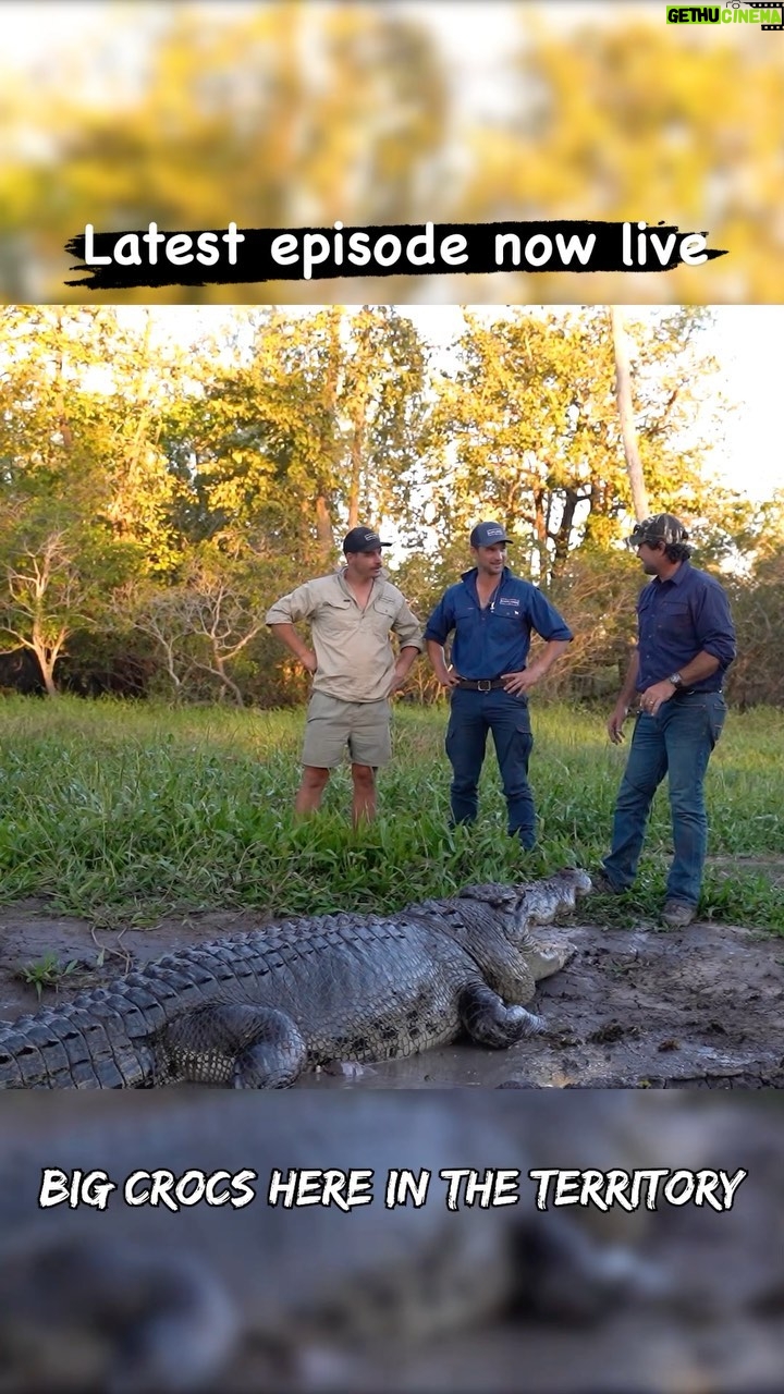 Matt Wright - 27.1K Likes - Who’s got this trip on there bucket list ?? The wild Northern Territory 🐊
#croc #northernterritory #theexplorelife