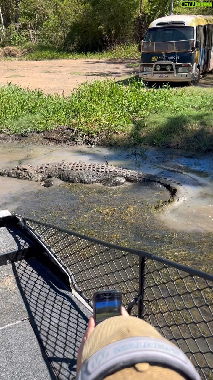 Matt Wright - 17.3K Likes - Big Croc Otis taking advantage of out dry season weather out @topendsafaricamp
#nt
#au
#crocodile
#wild