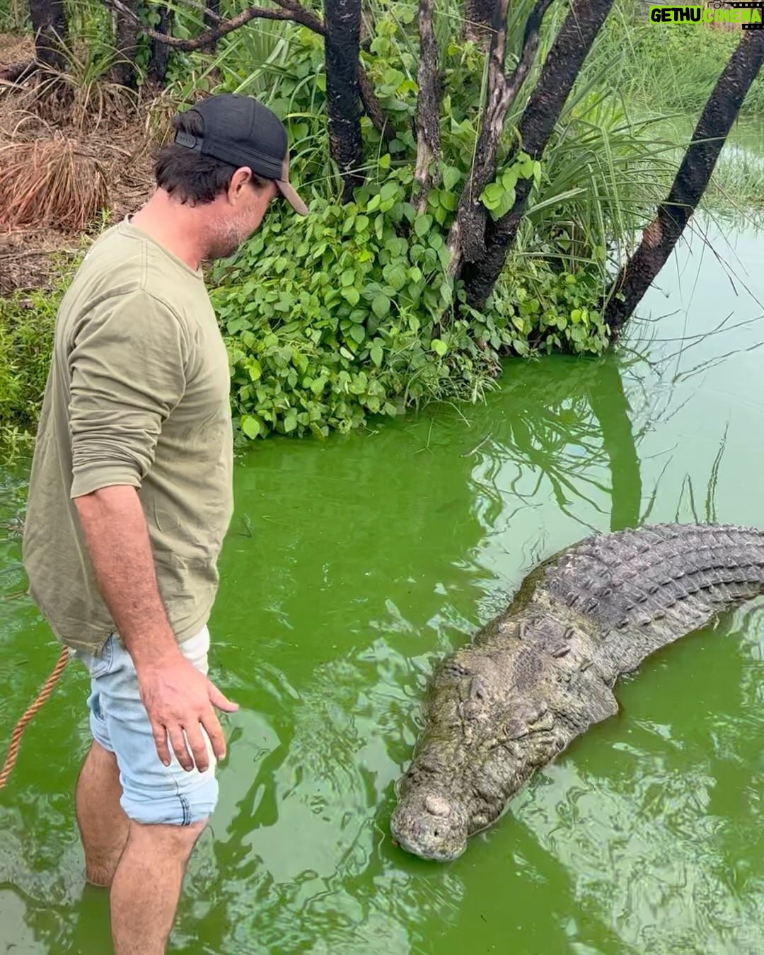 Matt Wright - 59K Likes - Absolutely devastated to find our longest standing and much loved rescue crocodile Tripod dead on my way home from @topendsafaricamp yesterday. I have been working with this croc for over 20 years, and moved him to the camp a decade ago to look after, he was our original big rescue crocodile and became part of our family and the camp’s identity. Tripod was originally caught on the Daly River by Nick Robinson in the 80’s. The crocodile had tried to eat people when they challenged to cross the Daly River and needed to be relocated. He was first named “James Perry Tripod” after a young fella who swam the bait out across the croc infested waters to set the trap that caught this crocodile.
A very sad day, and confusing circumstances because even after conducting a post-mortem it’s still not clear what killed him. RIP Tripod, thank you for all the memories big fella.