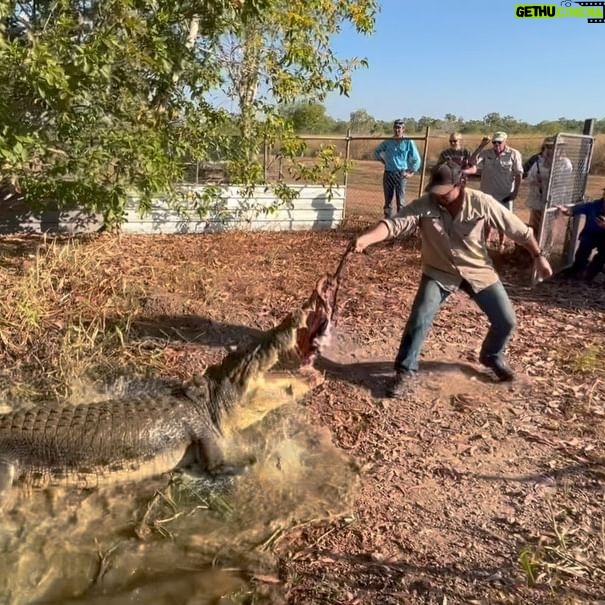 Matt Wright - 14.1K Likes - Come see the rescue crocs @topendsafaricamp it your in the NT