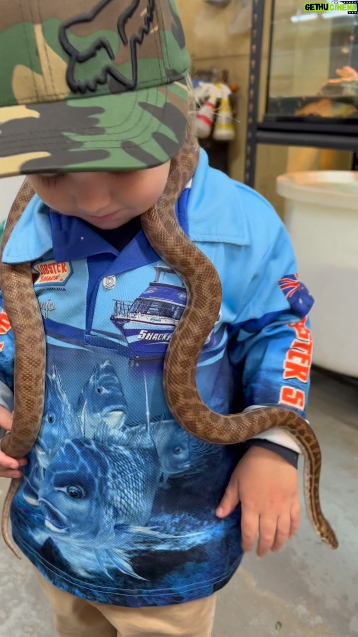 Matt Wright - 13.5K Likes - The King Brown Snake - one of the deadliest snakes in the world. I used to collect these when I was 8 and bring them home to Mum in a big bucket to show her my “lizard” to her horror. We’re always teaching Banjo to love, respect & understand snakes, both friendly & poisonous, so he doesn’t do the same to us 😉
The @australianreptilepark is renowned for its Deadly & Dangerous Venom program and the King Brown Snake has the biggest venom yield (can produce 1.5 grams!). When people are bitten they react badly & can die but because of incredible anti-venom programs like this most people survive.
It was unreal learning about the process of milking & how the anti-venom is produced, listen in 👍 and we made sure we finished with cuddles from some friendly snakes 🐍🐍🐍