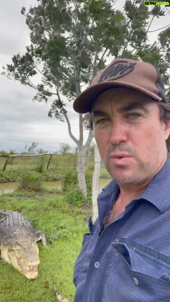 Matt Wright - 28.8K Likes - Hey guys download the @starkix.live App to chat live one on one with me. I’ll be going live soon with the crocs & even when I’m not live you can “ping me” in the App & if I’m free I’ll jump on to have a yarn! All money raised from my chats over the next 3 months will be going to @dollysdreamaustralia Hope to chat to you legends soon 💥 🐊