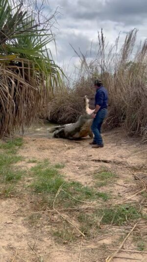 Matt Wright Instagram - The next generation 🐊 run run run 🏃🏻‍♂️🏃🏻😆