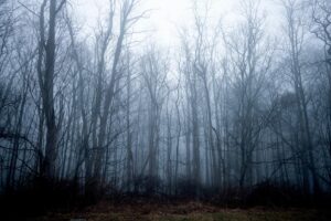 Matthew Libatique Instagram - Meet me in the woods