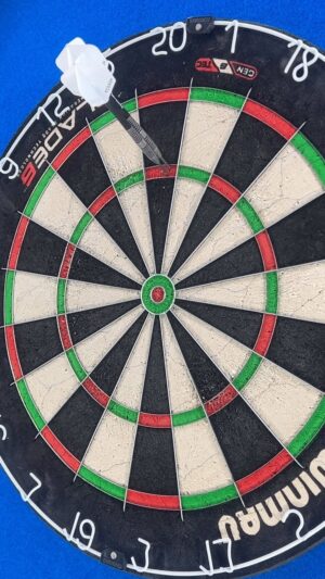Max Hopp Instagram - Perfekte Aufnahme heute im Training!💪🏼🎯#180