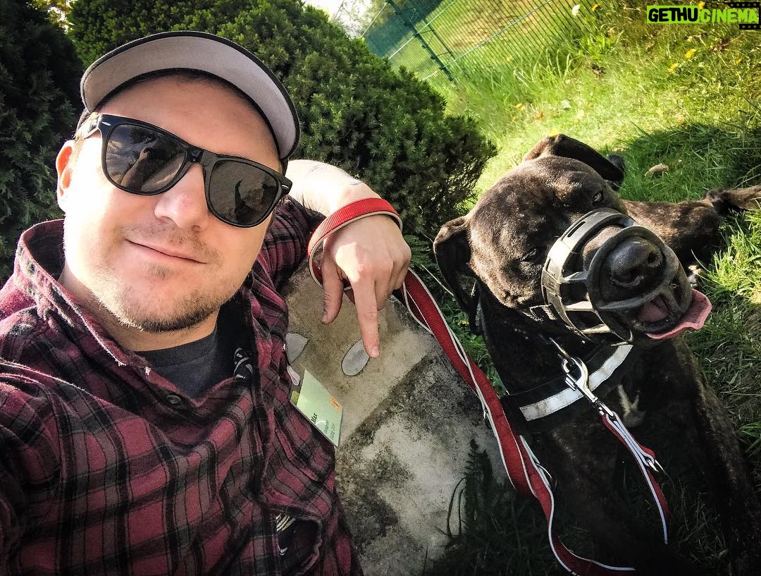 Max Krüger - 3.6K Likes - Sonnige Grüße von heute Mittag beim @tierschutzberlin senden Hannes und ich. In der Story gibt's noch mehr Kram zu diesem süßen Vieh! #GassiGang