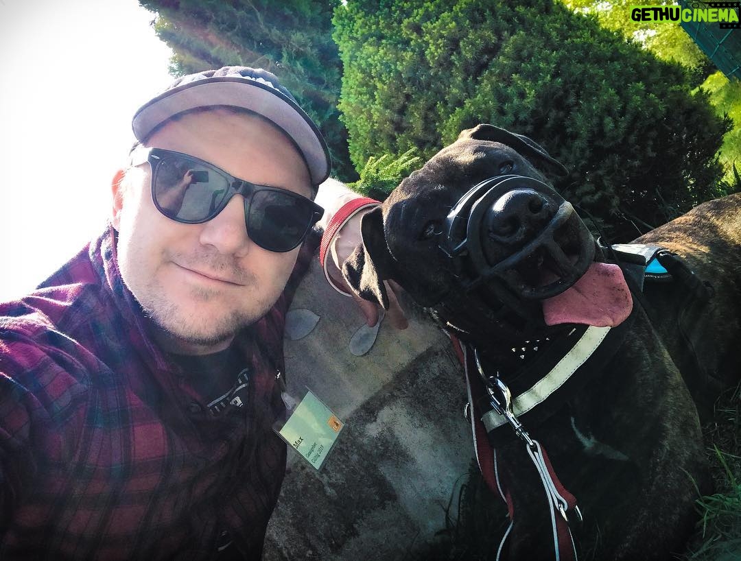 Max Krüger - 3.6K Likes - Sonnige Grüße von heute Mittag beim @tierschutzberlin senden Hannes und ich. In der Story gibt's noch mehr Kram zu diesem süßen Vieh! #GassiGang