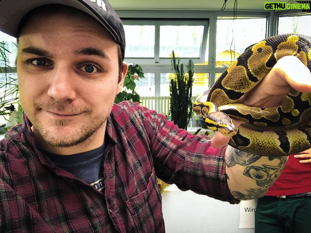 Max Krüger - 2.4K Likes - Wer sich fragt, was diese wunderschöne Königspython vom @tierschutzberlin auf meinem Arm macht, guckt am besten einfach die aktuellen Stories oder das Highlight "#Exotenliebe" auf meinem Profil. :)