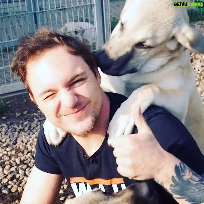 Max Krüger - 3.7K Likes - Am Freitag ab 20:00 sammeln wir bei @lootfuerdiewelt zum 6. Mal Geld für den guten Zweck und das 24h lang LIVE!
Mich freut besonders, dass 1/3 der Spenden an den @tierschutzberlin gehen.
Hier mal ein kleiner Einblick ins Tierheim! Falls ihr nen Euro übrig habt, schaut doch mal vorbei auf www.twitch.tv/doktorfroid