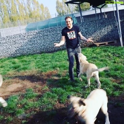 Max Krüger - 3.7K Likes - Am Freitag ab 20:00 sammeln wir bei @lootfuerdiewelt zum 6. Mal Geld für den guten Zweck und das 24h lang LIVE!
Mich freut besonders, dass 1/3 der Spenden an den @tierschutzberlin gehen.
Hier mal ein kleiner Einblick ins Tierheim! Falls ihr nen Euro übrig habt, schaut doch mal vorbei auf www.twitch.tv/doktorfroid