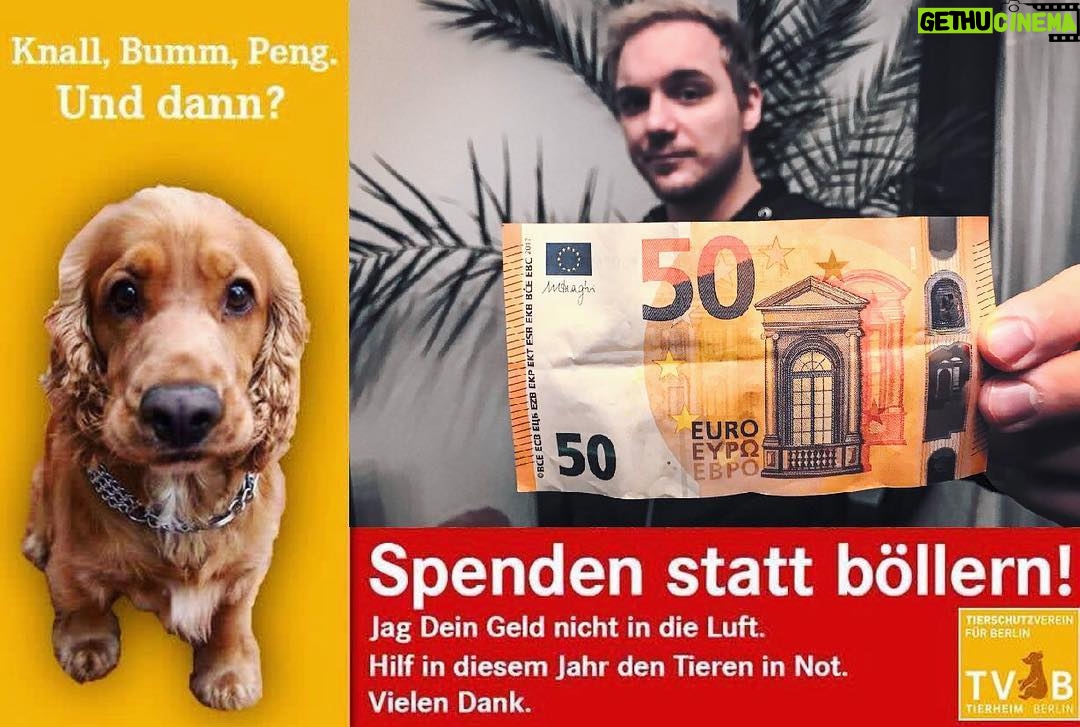 Max Krüger - 3.5K Likes - Gibt's nicht viel misszuverstehen. Ob Tierheim oder sonst wo hin; da darf jeder kreativ werden.
(Grafik geklaut vom @tierschutzberlin, wo ich die 50€ wie beim letzten Mal auch wieder persönlich vorbeibringe)
#spendenstattböllern