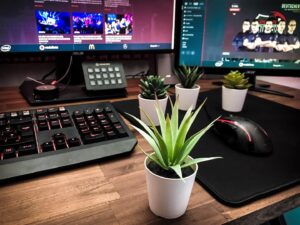 Max Krüger Instagram - Der geile @asmoogl und ich moderieren auf der #gamescom2019 die #ESLMeisterschaft und natürlich ist auch unser geiler Pflanzenfreund dabei. Der braucht allerdings einen Namen. Stimmt gerne ab indem ihr unten eins meiner Kommentare liked!