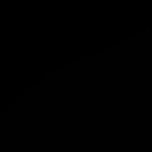 Max Talisman Instagram - Welcome to Malibu, Bro Productions 
President - Max Talisman 🌊✨
Vice President - Danny Chavarriaga ⚡️✨
Animation & Logo by @thestudiocollab