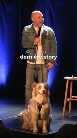 Maxim Martin Instagram - Aura qui n’est jamais bien loin! #humour #standup #dogofinstagram