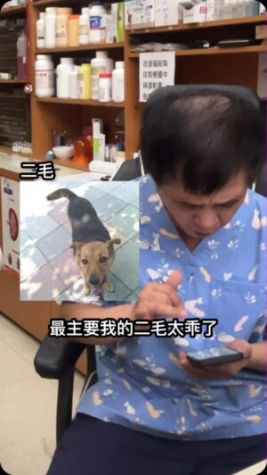 Mei Ho Instagram - 獸醫不知道我是誰
帶龐回診的時候
我鼓起勇氣把上次拍的影片給他看
想讓他知道有很多網友都很感動
謝謝他這麼有愛
他說我愛哭，下一秒默默擦眼淚🥺
#30幾公斤的狗狗叫二毛
#陽光犬貓專科醫院