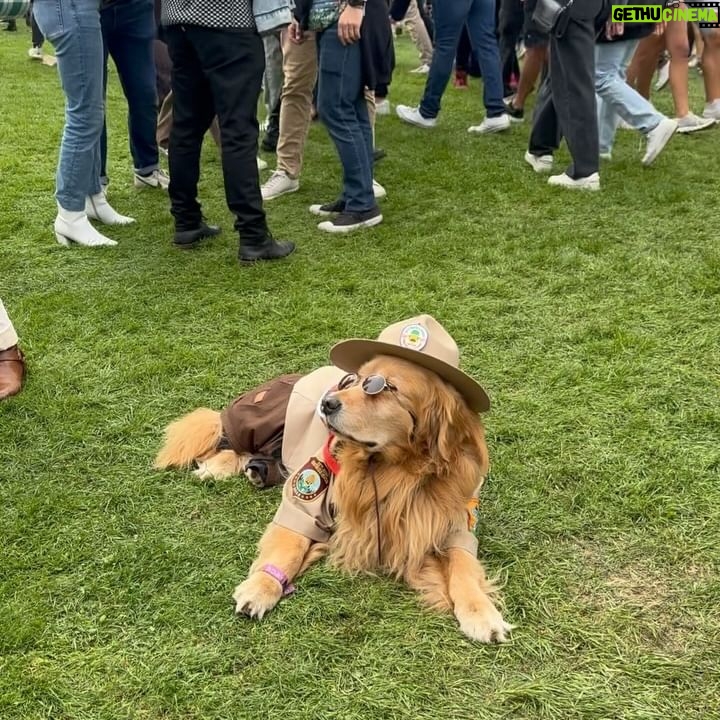 Melissa King - 3.8K Likes - I lost count of how many @outsidelands I’ve been to. I think my first was 2009 where I saved up my money only to end up with a fake GA ticket (back when it was a piece of paper and not a fancy wristband folks 👵🏽). The door people felt bad for me and let me in anyways. Fast forward, I’ve performed a few years in a row on stage with bands, cooked in the VIP tents for artists, and now am back passing out bites in the Chase Sapphire lounge. This festival has so many memories tied to it over the years from the food to freezing in the foggy magical forest, and will always hold a special place in my SF heart. Also, I can’t with this golden retriever! 😍
Outsidelands ‘24: A big thank you to @chasesapphire and the team for bringing me to OSL and everyone that came by to say hi and eat some ginger scallion lobster rolls! 😘