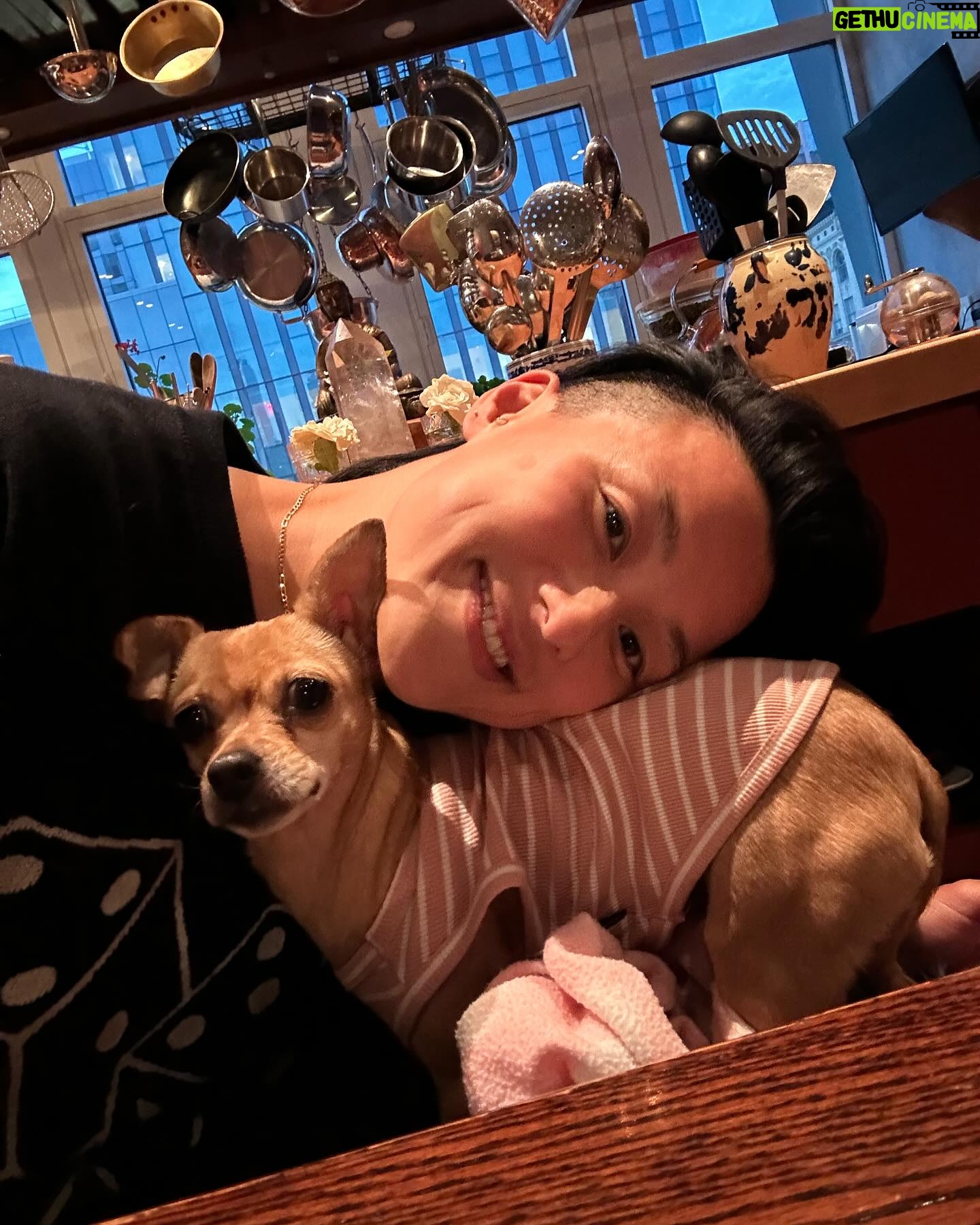 Melissa King - 11.8K Likes - Family time & samosas. @padmalakshmi @chefnininguyen