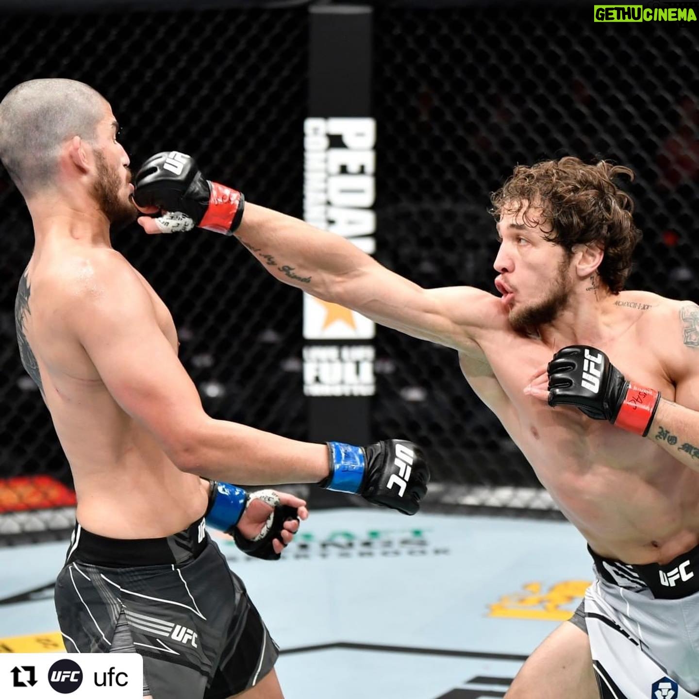 Melsik Baghdasaryan - 11.2K Likes - Victory 🔥Thanks everyone for support Love you all ❤️ #MelsikTheGun #ufc268
