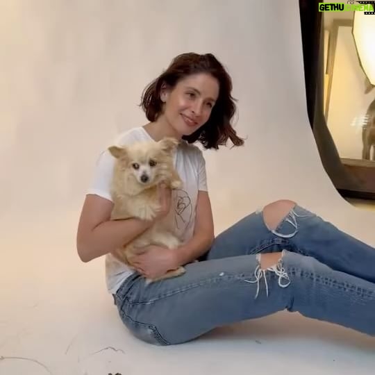 Mercedes Mason - 3.1K Likes - I had the absolute pleasure of working with @charlienunnphotography and Raymond who take gorgeous photos of rescue animals through @wagsandwalks and @hitlivingfoundation
Since all my fur babies have passed, I was lucky enough to be paired with these silly babies who are up for adoption.
PLEASE rescue don’t buy. There are so many animals in need of loving furever homes. #adoptdontshop
*Also, make sure your pets are safely INDOORS this Fourth of July holiday season as fireworks are traumatizing for animals who do not understand the loud noises and will try to escape*