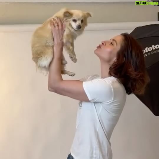 Mercedes Mason - 3.1K Likes - I had the absolute pleasure of working with @charlienunnphotography and Raymond who take gorgeous photos of rescue animals through @wagsandwalks and @hitlivingfoundation
Since all my fur babies have passed, I was lucky enough to be paired with these silly babies who are up for adoption.
PLEASE rescue don’t buy. There are so many animals in need of loving furever homes. #adoptdontshop
*Also, make sure your pets are safely INDOORS this Fourth of July holiday season as fireworks are traumatizing for animals who do not understand the loud noises and will try to escape*