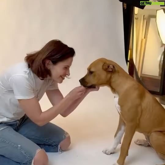 Mercedes Mason - 3.1K Likes - I had the absolute pleasure of working with @charlienunnphotography and Raymond who take gorgeous photos of rescue animals through @wagsandwalks and @hitlivingfoundation
Since all my fur babies have passed, I was lucky enough to be paired with these silly babies who are up for adoption.
PLEASE rescue don’t buy. There are so many animals in need of loving furever homes. #adoptdontshop
*Also, make sure your pets are safely INDOORS this Fourth of July holiday season as fireworks are traumatizing for animals who do not understand the loud noises and will try to escape*