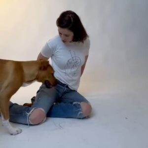 Mercedes Mason Instagram - I had the absolute pleasure of working with @charlienunnphotography and Raymond who take gorgeous photos of rescue animals through @wagsandwalks and @hitlivingfoundation 

Since all my fur babies have passed, I was lucky enough to be paired with these silly babies who are up for adoption.

PLEASE rescue don’t buy. There are so many animals in need of loving furever homes. #adoptdontshop 

*Also, make sure your pets are safely INDOORS this Fourth of July holiday season as fireworks are traumatizing for animals who do not understand the loud noises and will try to escape*