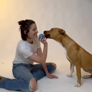 Mercedes Mason Instagram - I had the absolute pleasure of working with @charlienunnphotography and Raymond who take gorgeous photos of rescue animals through @wagsandwalks and @hitlivingfoundation 

Since all my fur babies have passed, I was lucky enough to be paired with these silly babies who are up for adoption.

PLEASE rescue don’t buy. There are so many animals in need of loving furever homes. #adoptdontshop 

*Also, make sure your pets are safely INDOORS this Fourth of July holiday season as fireworks are traumatizing for animals who do not understand the loud noises and will try to escape*