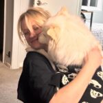 Meredith Stepien