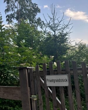 Metin Akdülger Instagram - From Altausse with Love 💚🦢🌿🥦☕️❤️