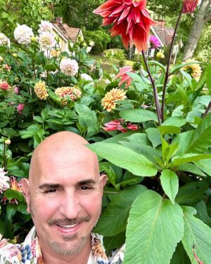 Micael Bindefeld Instagram - My Dahlia Devotion!!!
-
-
Pls swipe for many more 🌸🌺🌸
-
-
I stand 1,80 cm and as you can see in pic #1 most of my dahlias are between 200 - 250 centimeters tall!!
-
-
Some of the most impressive dahlias I grow are usually called “dinner plate dahlias” because of their size…..
-
-
An impressive sight in my late summer garden!
-
-
As a true diva the dahlias knows exactly when to make an entry to draw maximum attention to her dazzling beauty - at the end of summer when all the other flowers are through with their blooming season!
-
-
Which one is your favorite..?
-
-
#dinnerplatedahlia #dahliaseason #dahlialove #mydahliagarden #dahlia #minträdgårdärenfest #mygarden #mygardentoday #minträdgårdidag #sensommar #aspvik