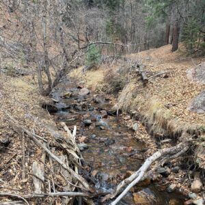 Michael Grant Terry Instagram - Walking and hiking and walking to take my mind off the fact that I miss my little little girl madly.  New Mexico is beautiful!