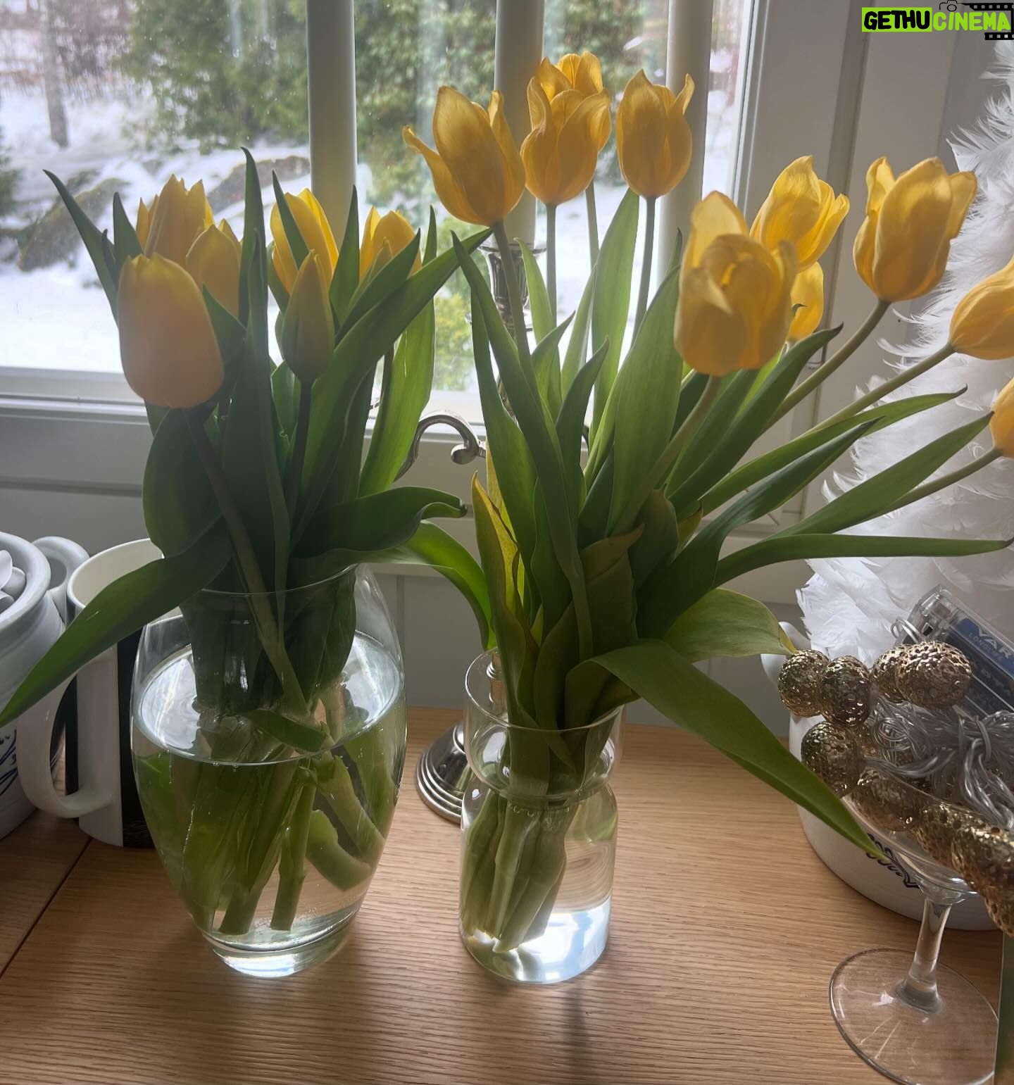 Michael Monroe - 2.9K Likes - Happy Mother’s day🌸🌸
Ihanaa Äitienpäivää ❤️❤️❤️