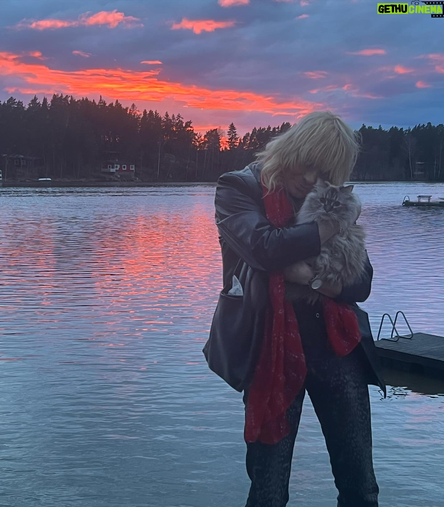 Michael Monroe - 8.3K Likes - @johannafmichaelm 📸
