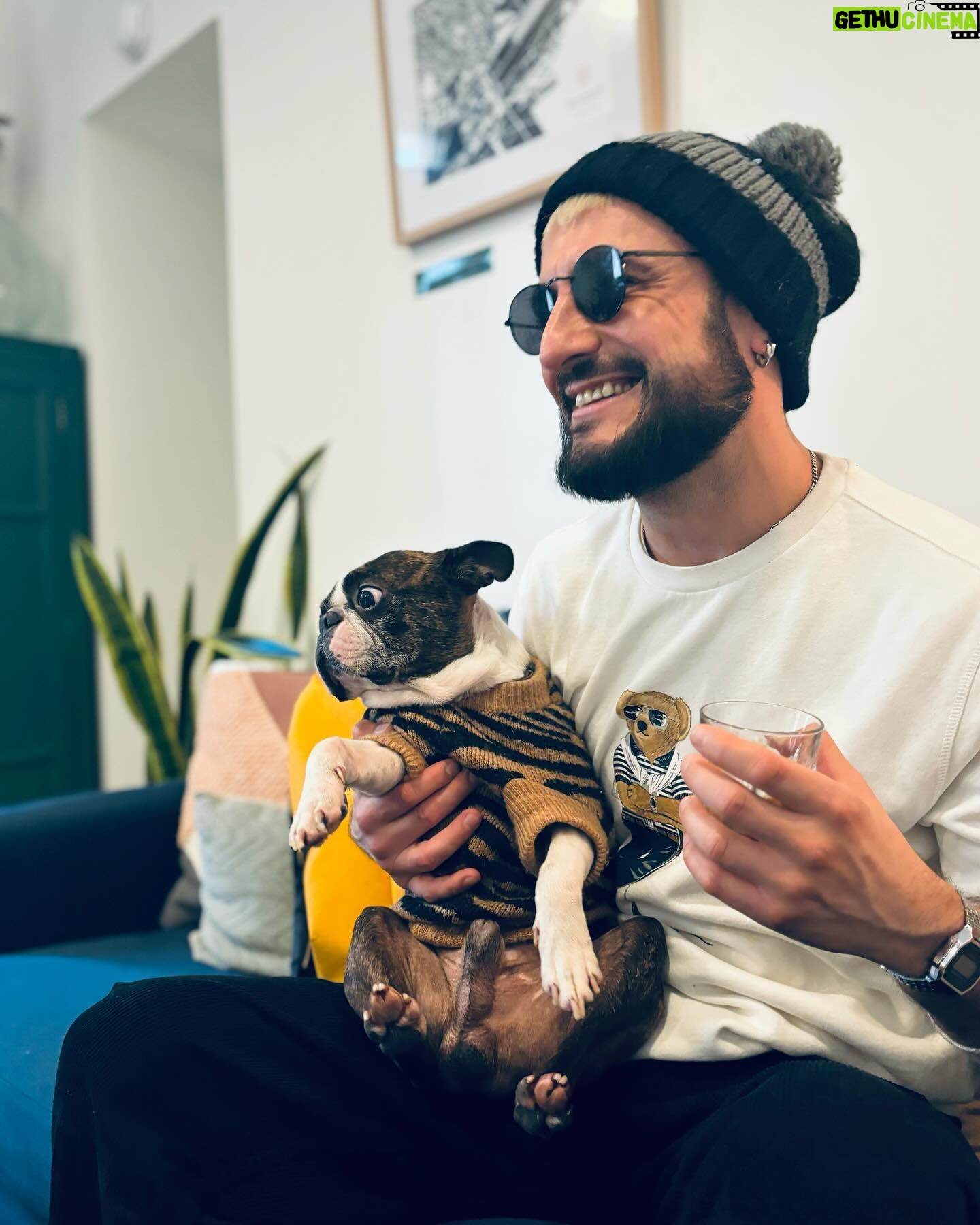 Michal - 571 Likes - Bonne semaine à tous! 📸 @bixente_photography #barbizon #weefy #bostonterrier #bostonterriersofinstagram #instadog #ralphlauren