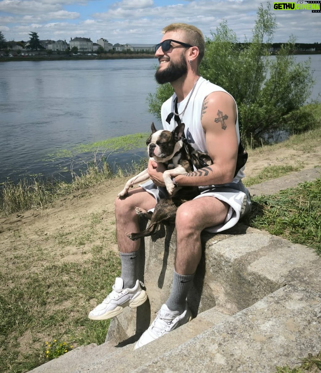 Michal - 683 Likes - Bonne semaine à tous! 🌞 #lundi #saumur #laloire #weefe #bostonterrier #tattoo #beard #bearded #nike #adidas #fila