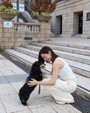 Michelle Wai Instagram - Biru 帶我去散步🐕‍🦺

@weekendmaxmara
@weekendmaxmarahk
#WeekendMaxMara